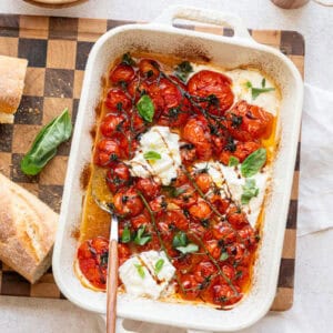 roasted tomatoes and burrata.