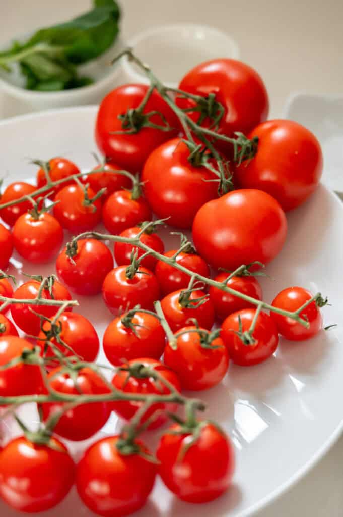 tomatoes on the vine.