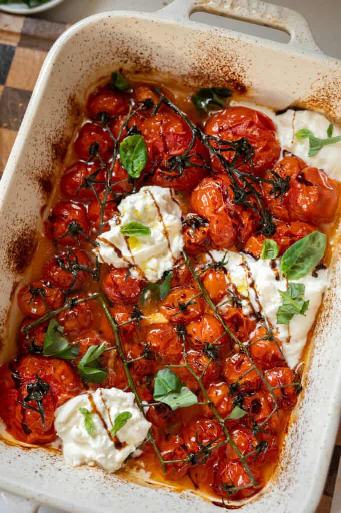 roasted tomatoes with burrata.
