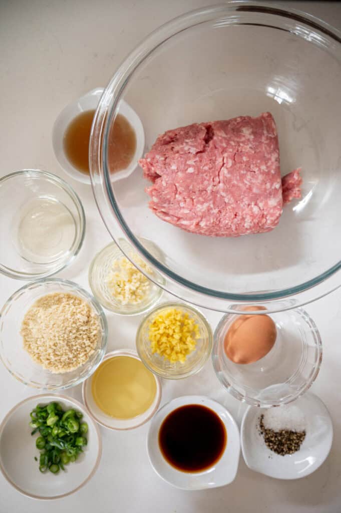 Asian pork meatballs ingredients.