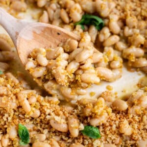 close up shot of italian cannellini beans.