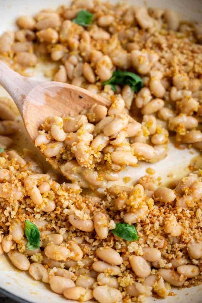 close up shot of italian cannellini beans.