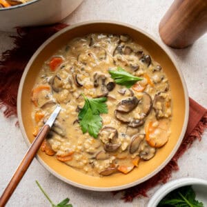 creamy wild rice mushroom soup in a bowl.