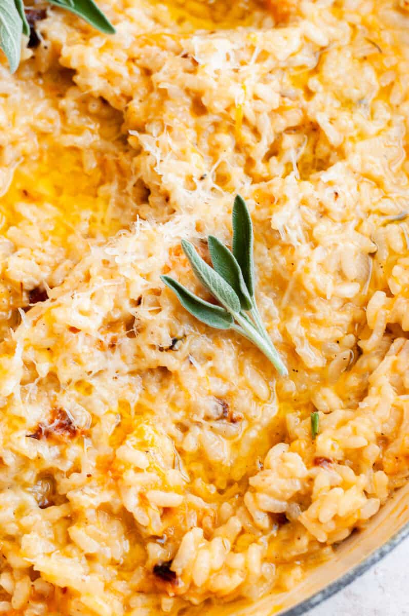 Butternut Squash Risotto Tasting With Tina