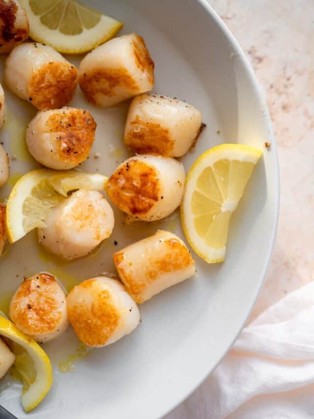 Simple Pan Seared Scallops Tasting With Tina