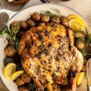 Greek roast chicken and potatoes in a dish.