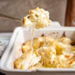 Easy Chicken Stuffed Shells with Alfredo Sauce Recipe.