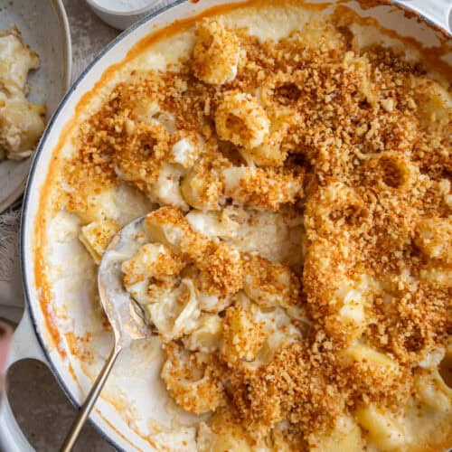 white cheddar macaroni and cheese.