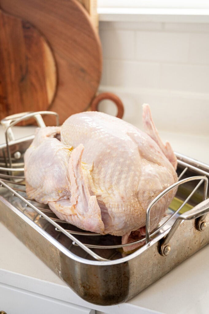 turkey on a roasting pan.