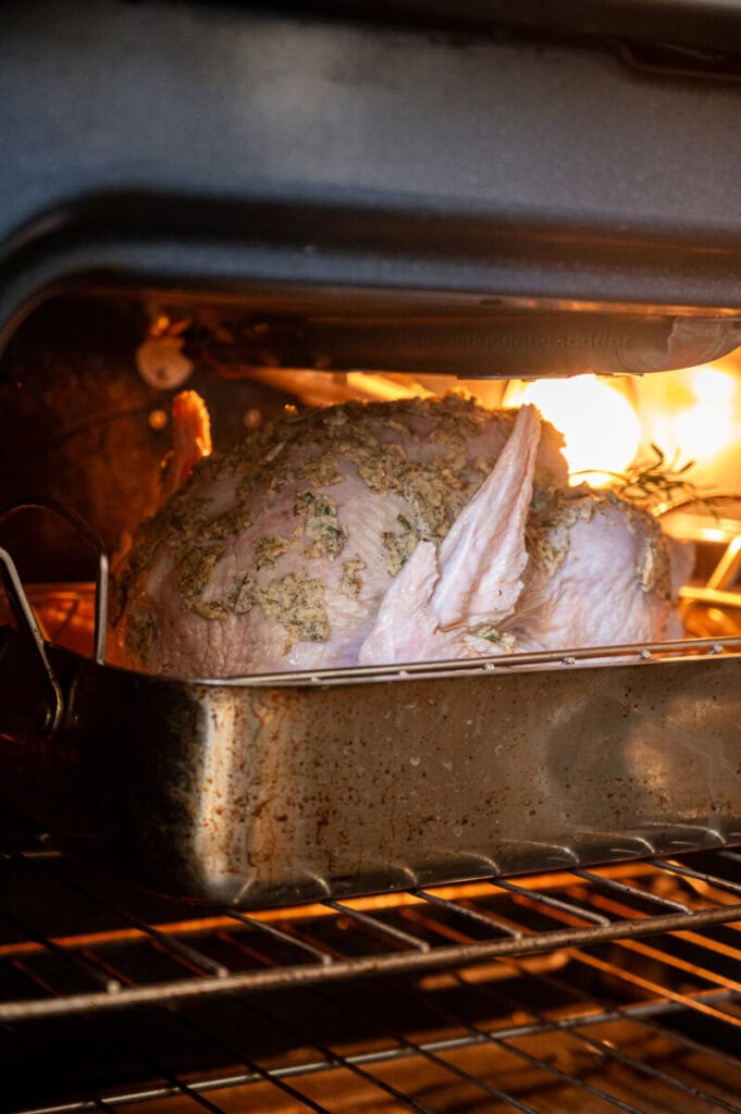 turkey in a convection oven.