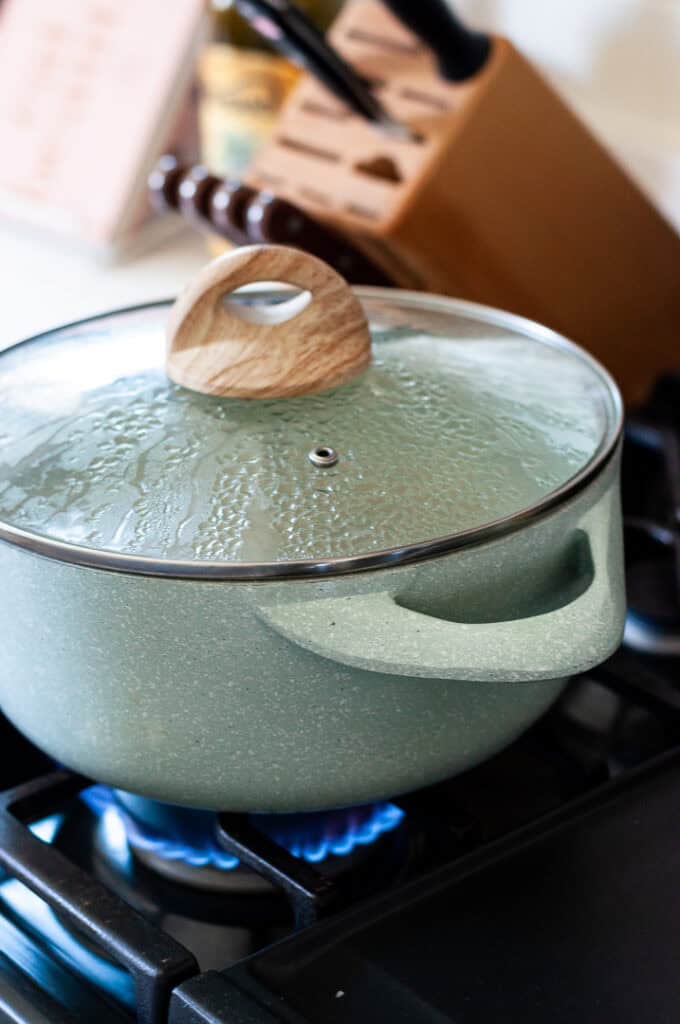 water boiling in a pot.
