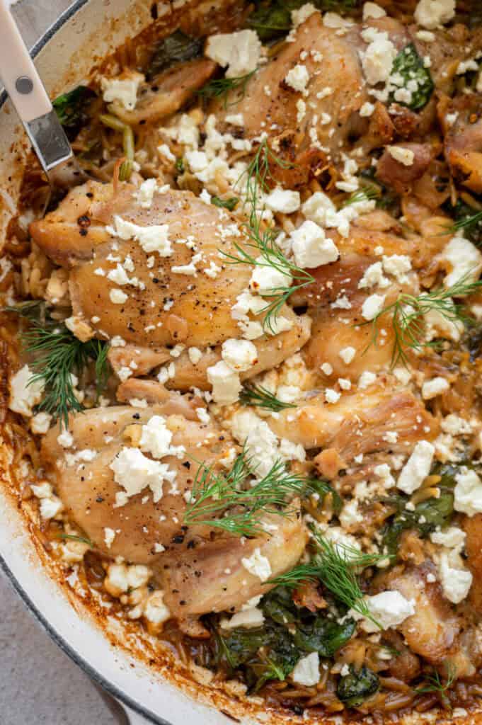 close up shot of chicken thigh with orzo, feta, and dill.