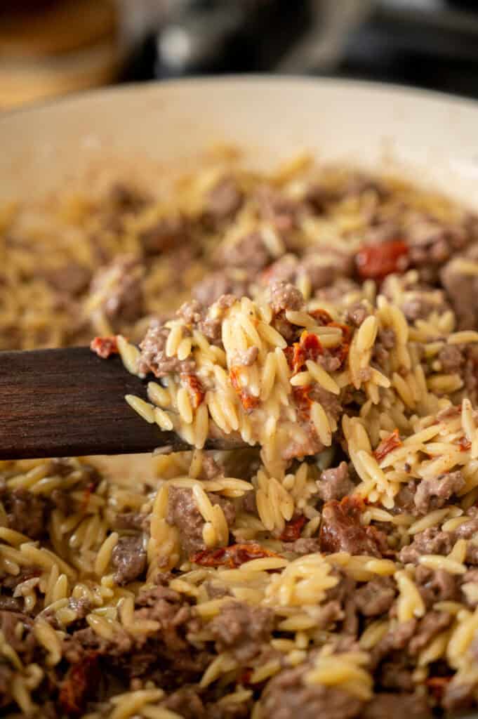 orzo with beef and sun dried tomatoes.