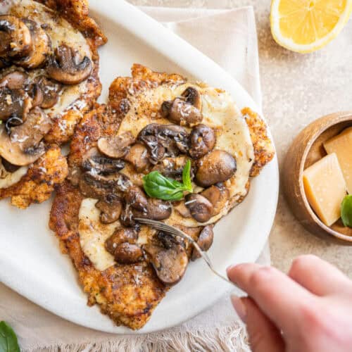chicken modiga.
